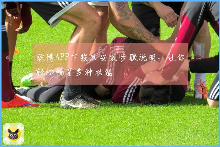 欧博APP下载及安装步骤说明，让你轻松畅享多种功能