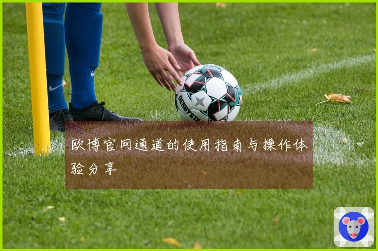 欧博官网通道的使用指南与操作体验分享