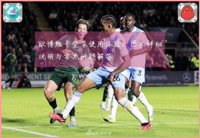欧博账号登录使用体验,图文详细说明与常见问题解答
