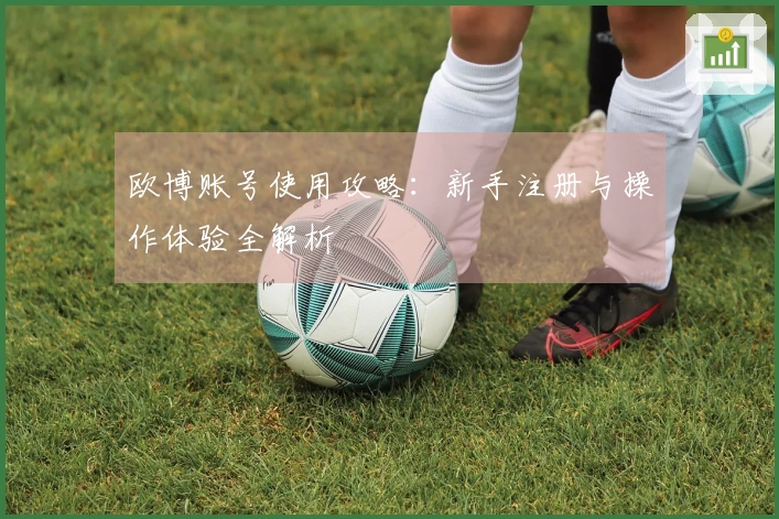 欧博账号使用攻略：新手注册与操作体验全解析