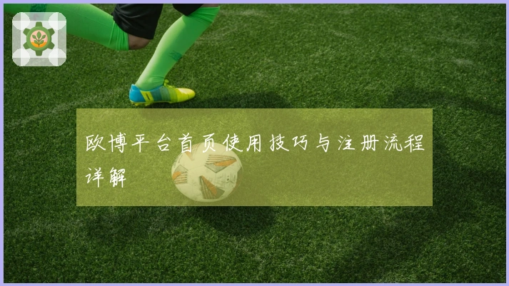欧博平台首页使用技巧与注册流程详解