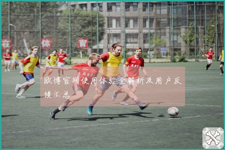 欧博官网使用体验全解析及用户反馈汇总