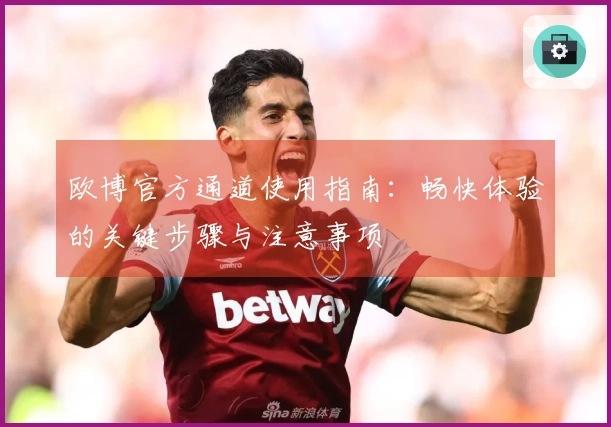 欧博官方通道使用指南：畅快体验的关键步骤与注意事项